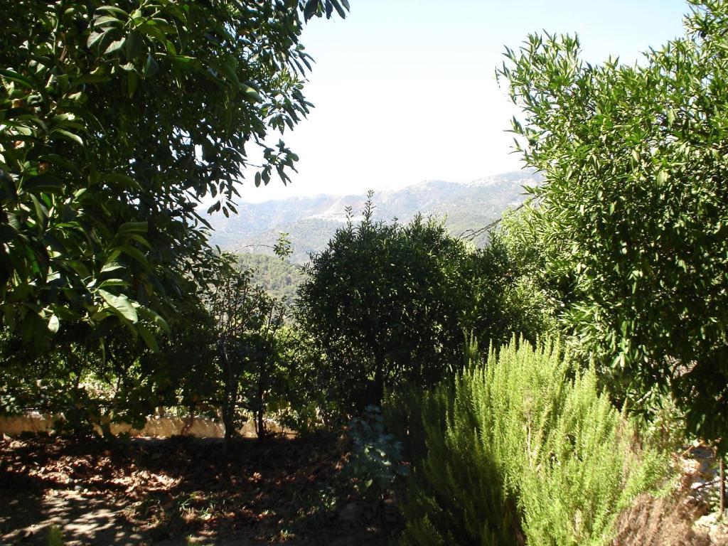 Posada Mirador De Jubrique Buitenkant foto