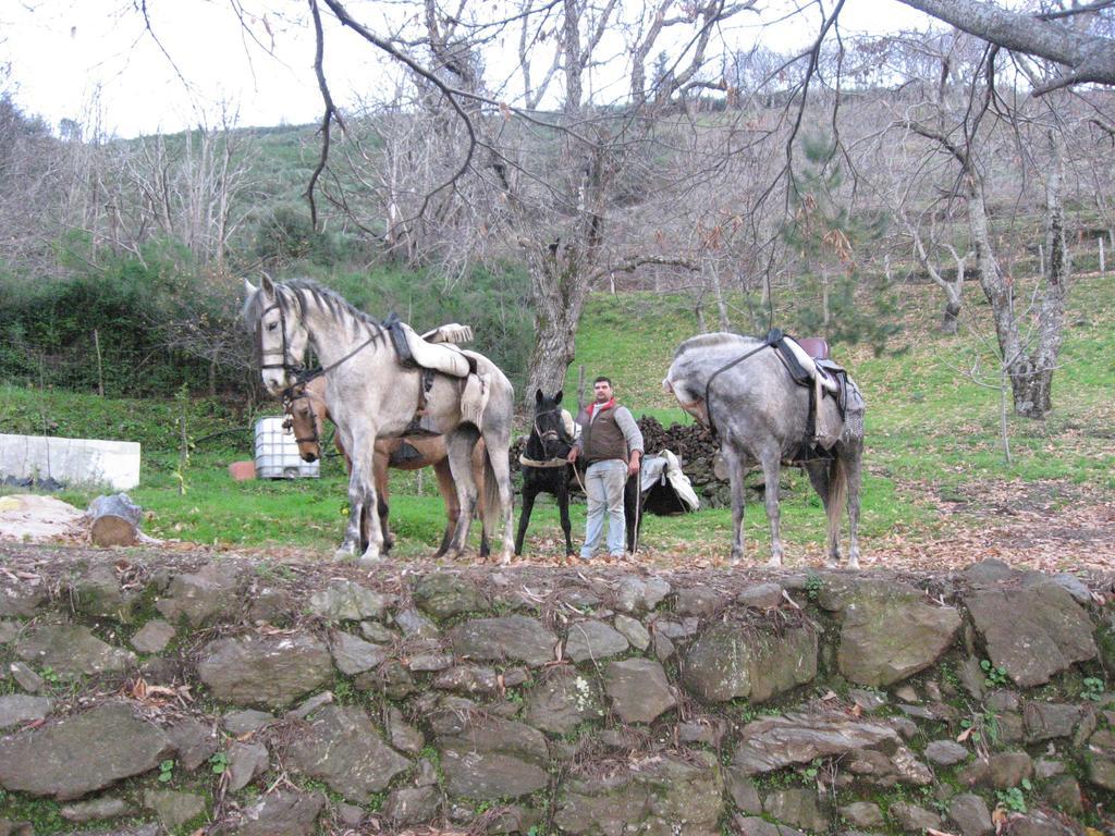 Posada Mirador De Jubrique Buitenkant foto